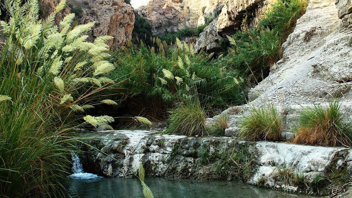 Oase En Gedi in der israelischen Wüste Negev.